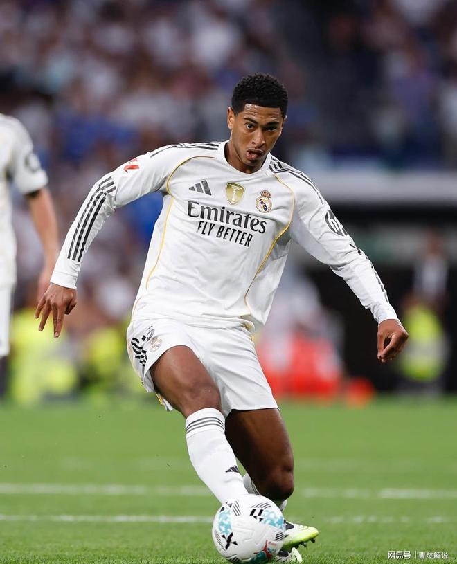 底牌未成体 底牌未成体