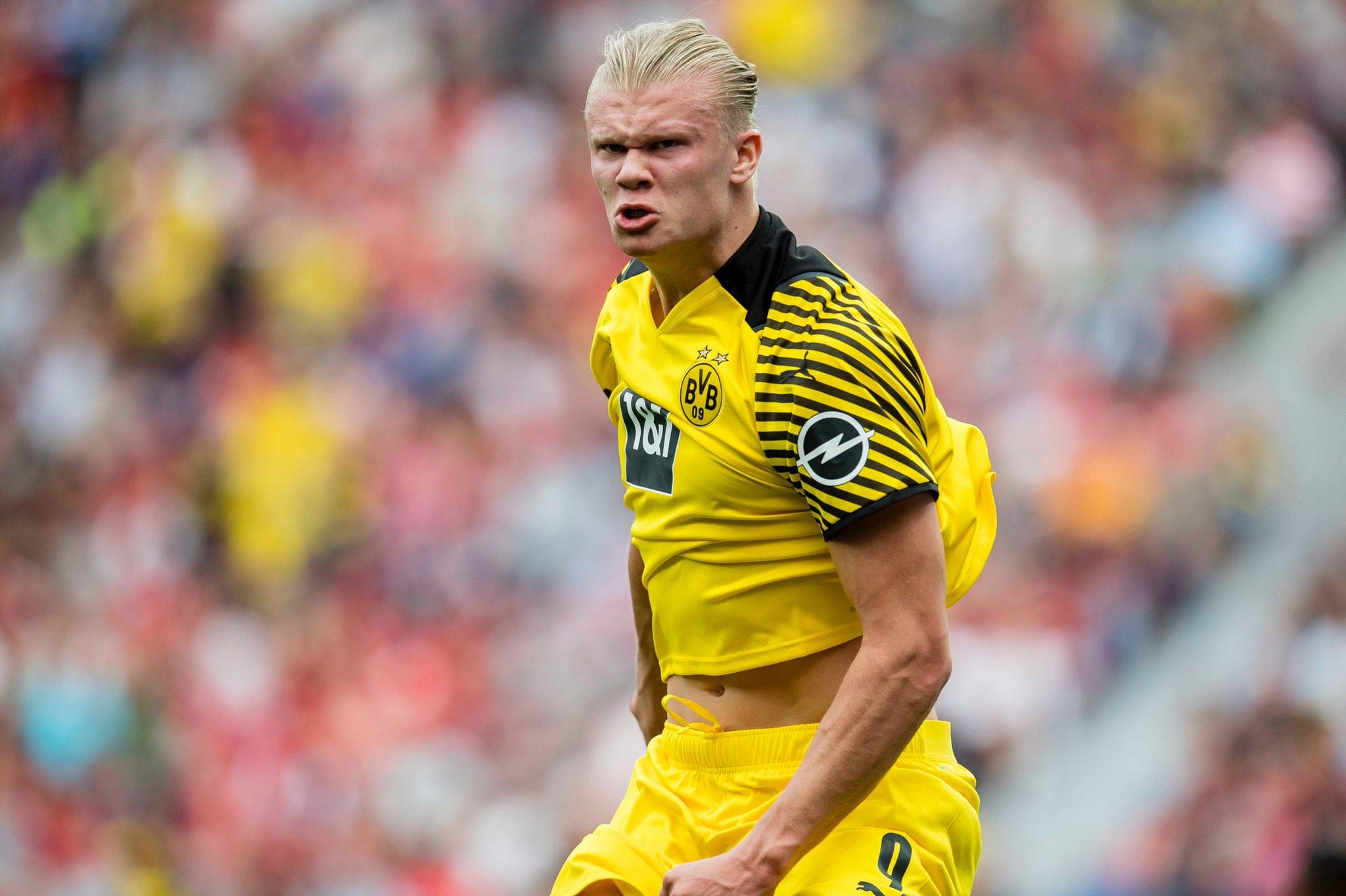 其标志性的 其标志性的