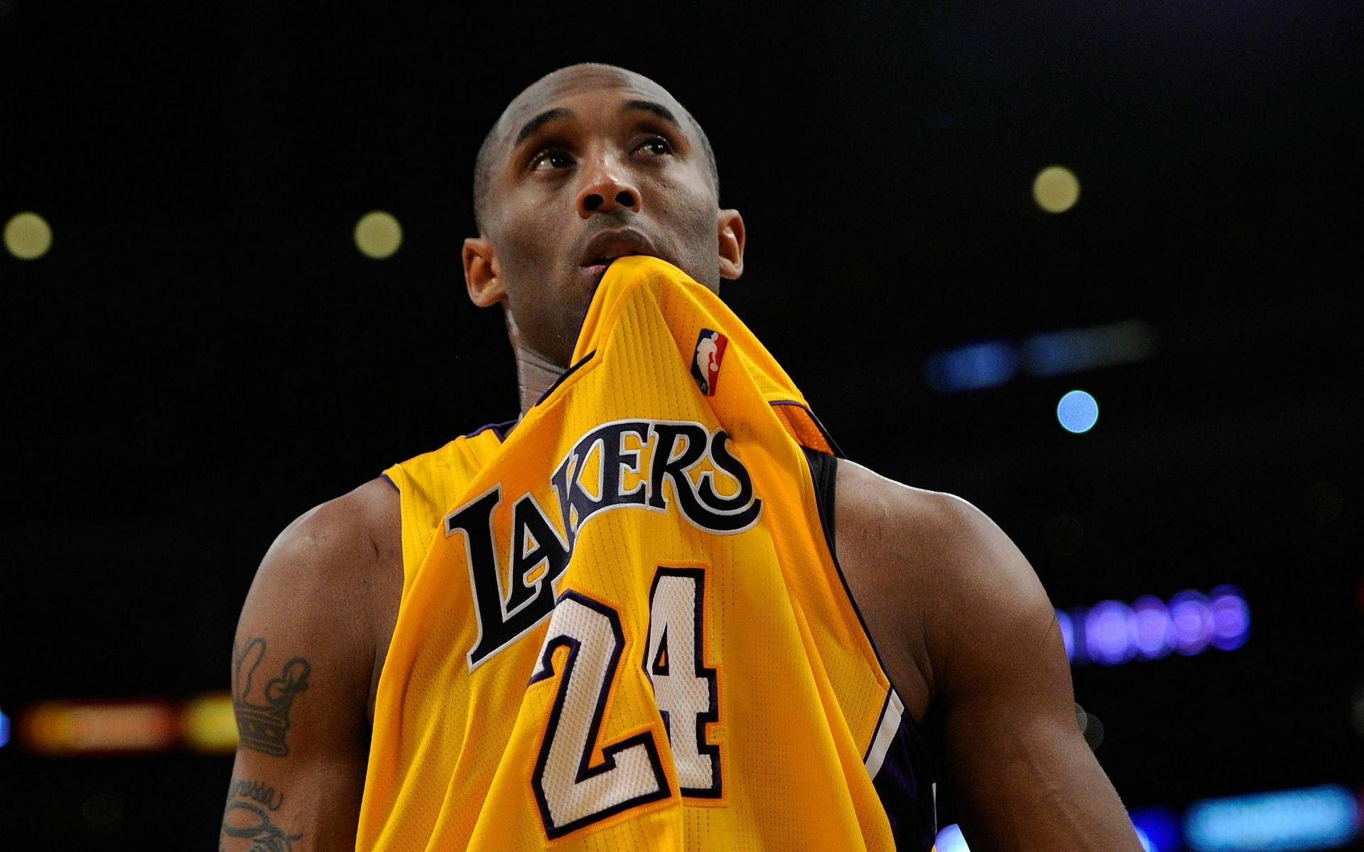 赛季进入拉 赛季进入拉